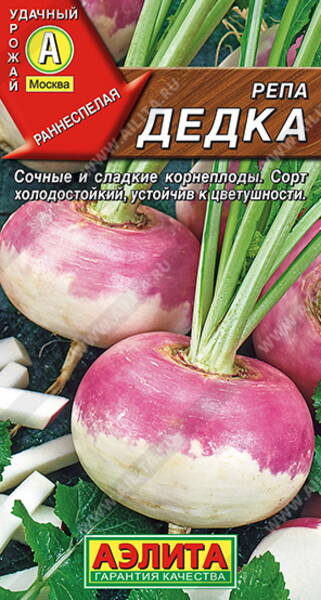 Turnip "Dedka"
